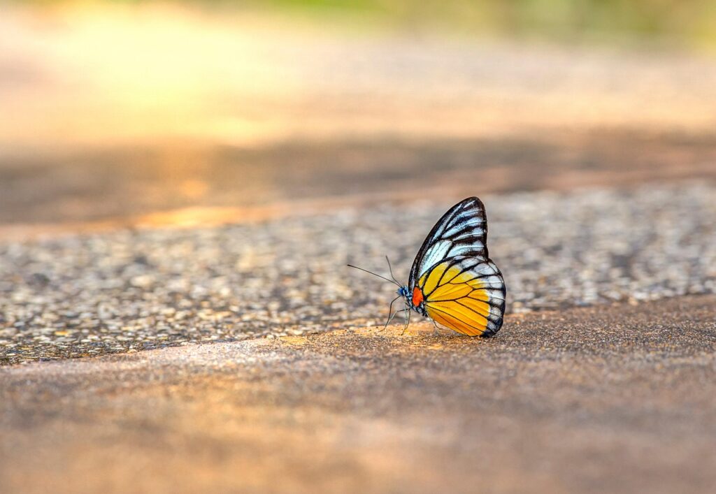 De 10 mooiste vakantiebestemmingen voor 2026 — van Bali tot IJsland