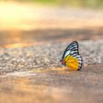 De 10 mooiste vakantiebestemmingen voor 2026 — van Bali tot IJsland