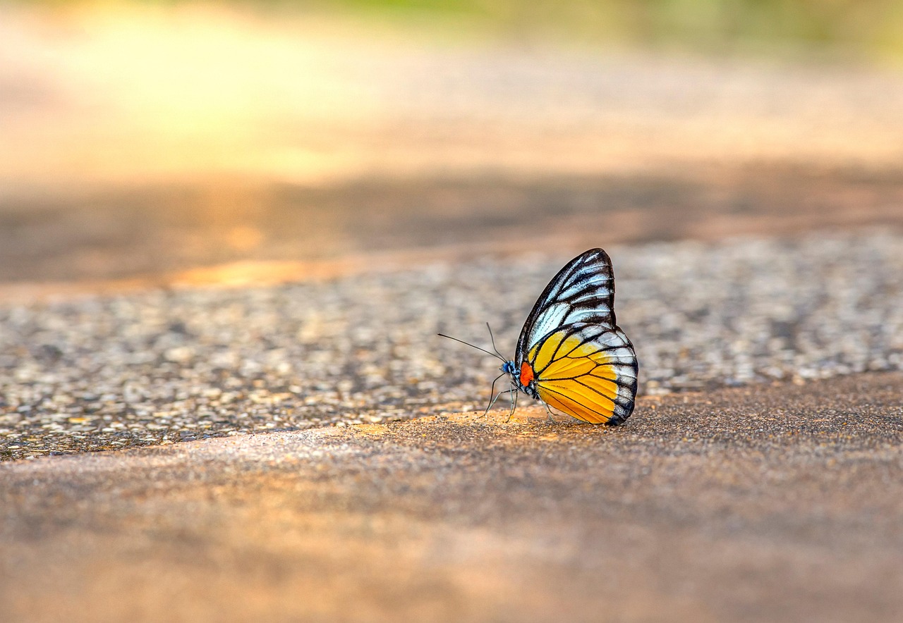 De 10 mooiste vakantiebestemmingen voor 2026 — van Bali tot IJsland
